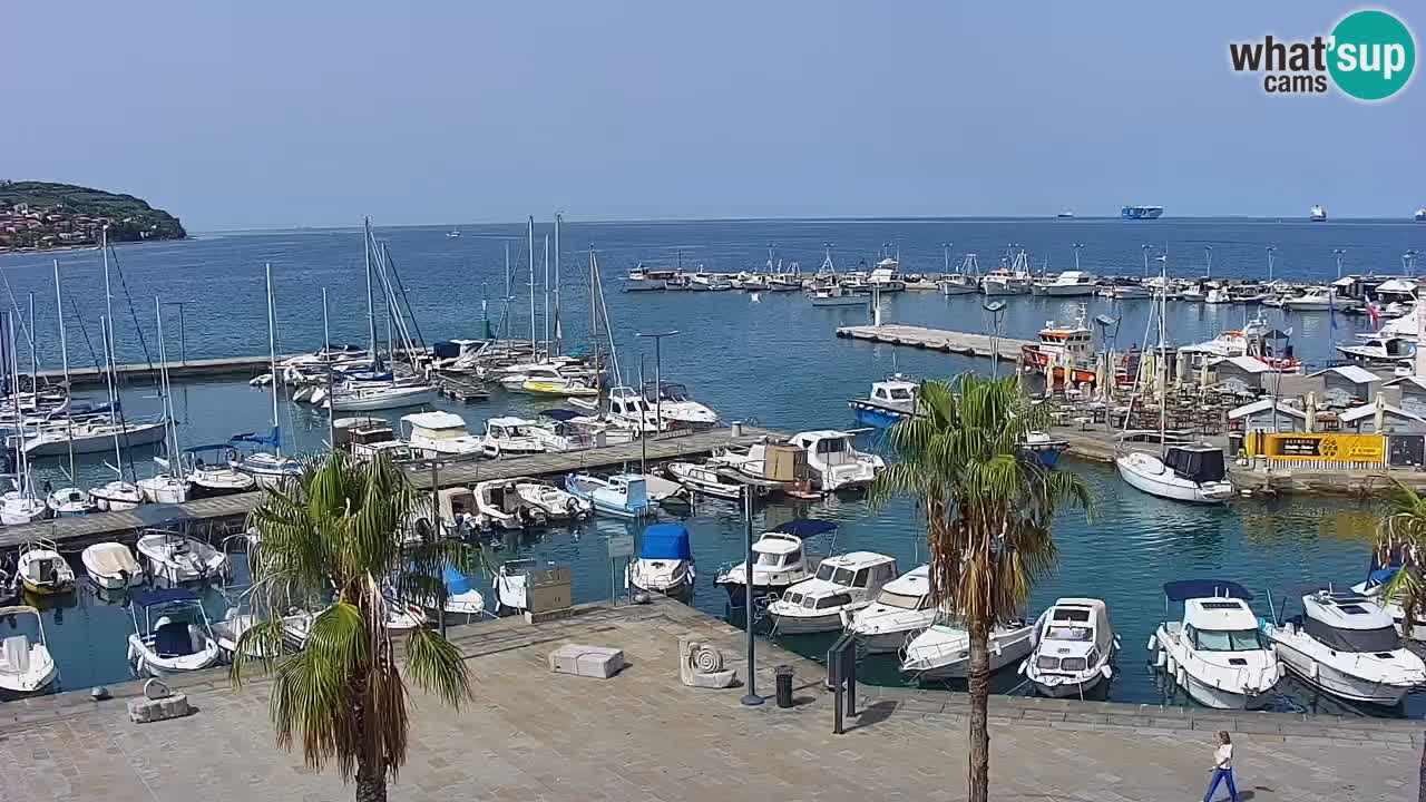 Web kamera Koper – marina i promenada – hotel Grand Koper