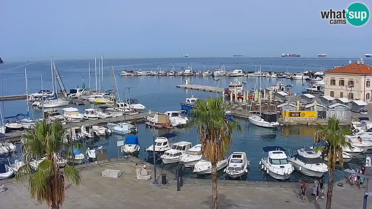 Camera en vivo Koper – puerto deportivo y paseo marítimo desde el Hotel Grand Koper