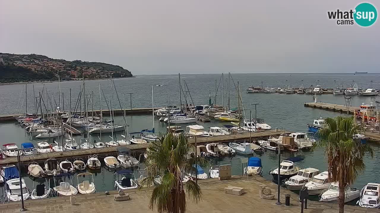 Webcam en vivo del Puerto de Koper – puerto de carga y cruceros – Eslovenia