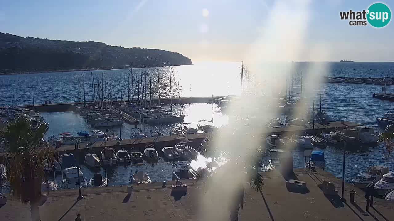 Webcam Koper – Panorama des Jachthafens und der Promenade vom Hotel Grand Koper