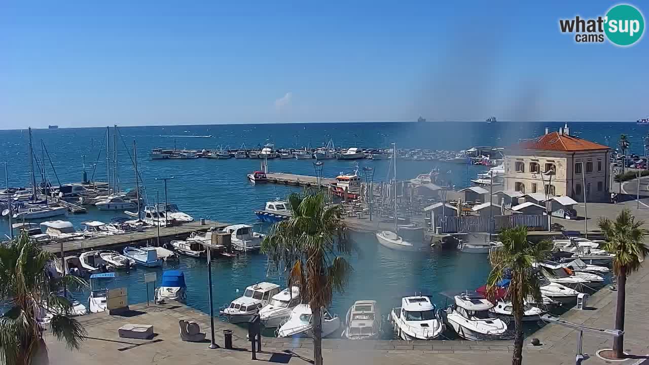 Camera en vivo Koper – puerto deportivo y paseo marítimo desde el Hotel Grand Koper