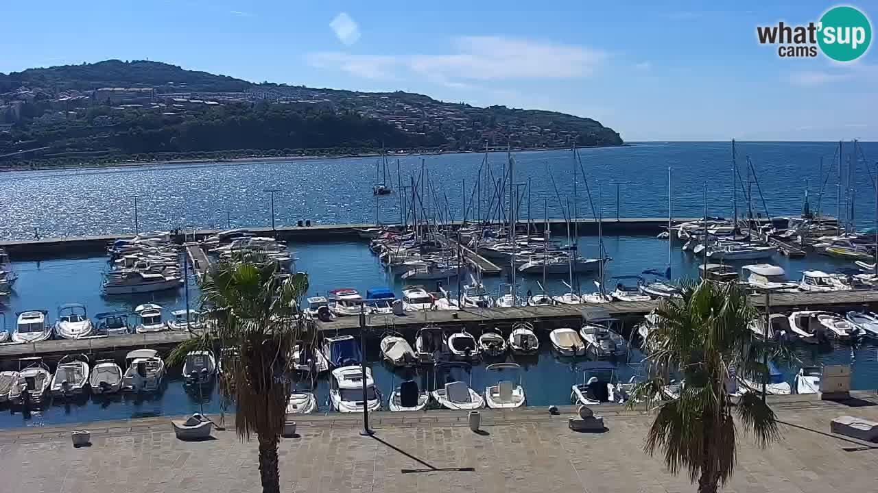 Webcam Capodistria – marina e lungo mare dall’Hotel Grand Koper