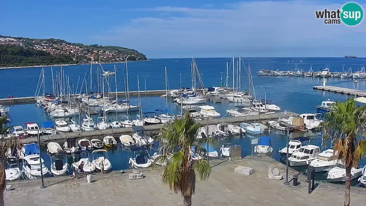 Webcam Koper – Panorama de la marina et de la promenade depuis le Grand Hotel Koper