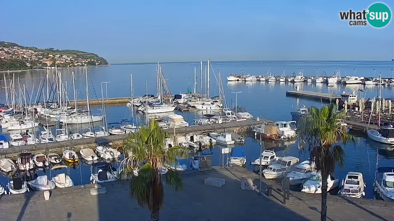 Webcam Koper – Panorama de la marina et de la promenade depuis le Grand Hotel Koper