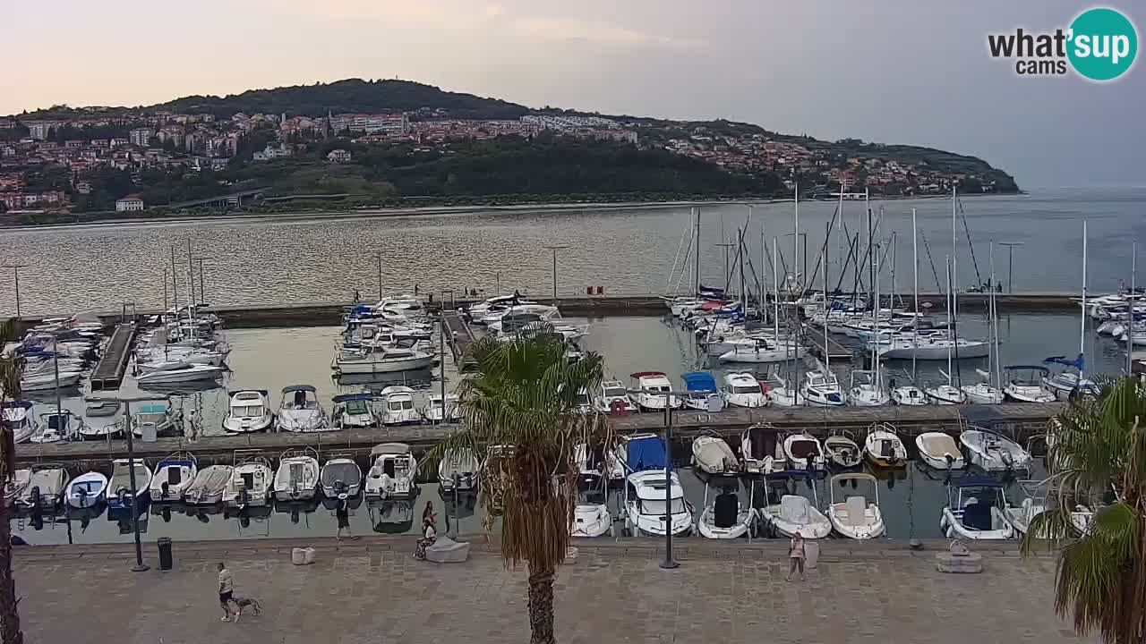 Camera en vivo Koper – puerto deportivo y paseo marítimo desde el Hotel Grand Koper