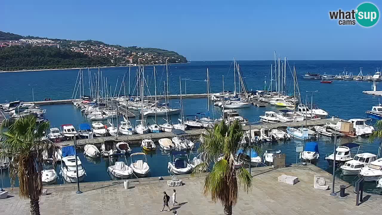 Webcam Koper – Panorama de la marina et de la promenade depuis le Grand Hotel Koper