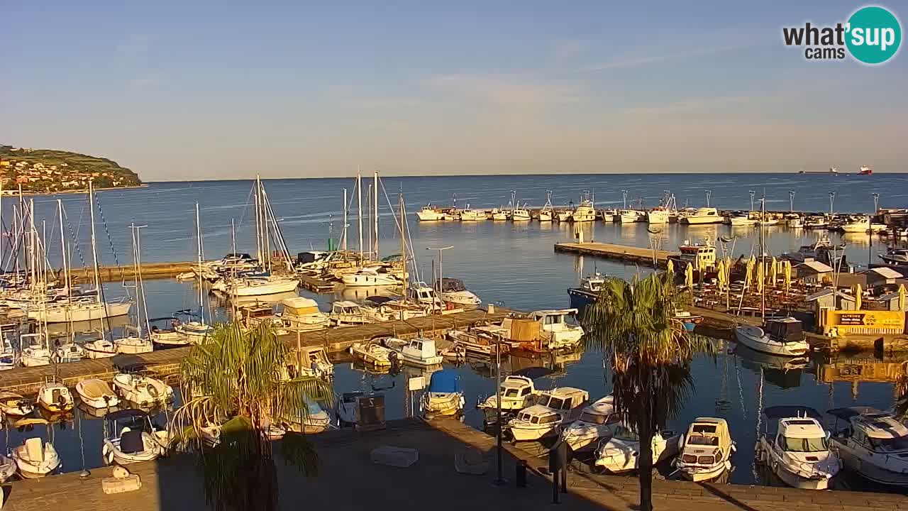 Webcam Koper – Panorama of the marina and promenade from the Grand Hotel Koper