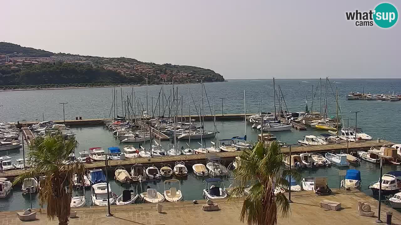 Web kamera Koper – marina i promenada – hotel Grand Koper