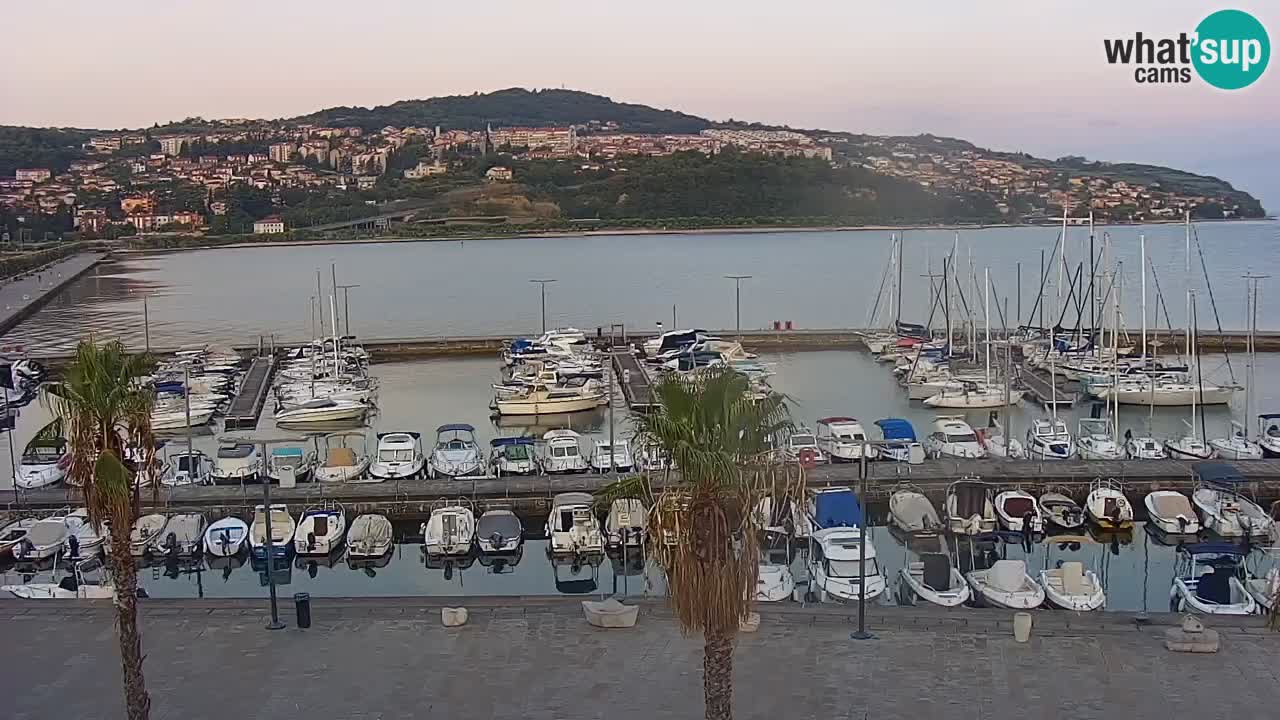 Spletna kamera Koper – Panorama na marino in promenado s Hotela Grand Koper