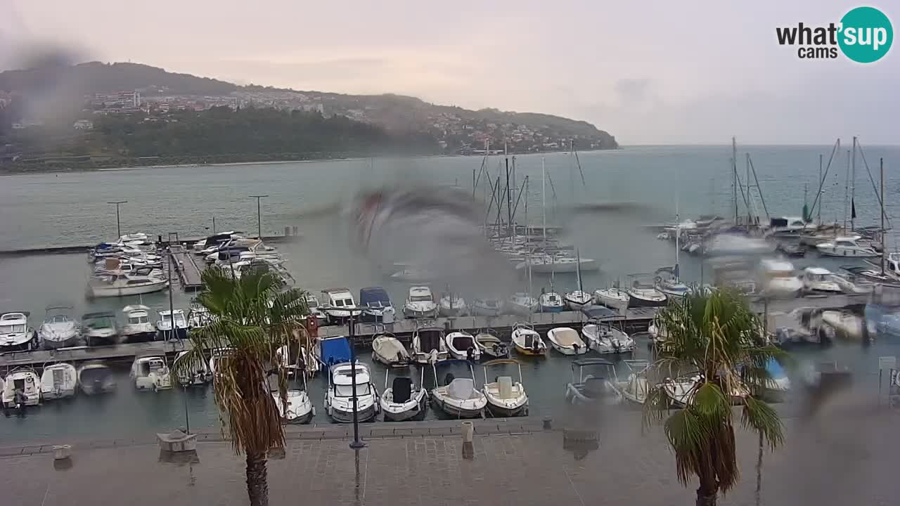 Camera en vivo Koper – puerto deportivo y paseo marítimo desde el Hotel Grand Koper