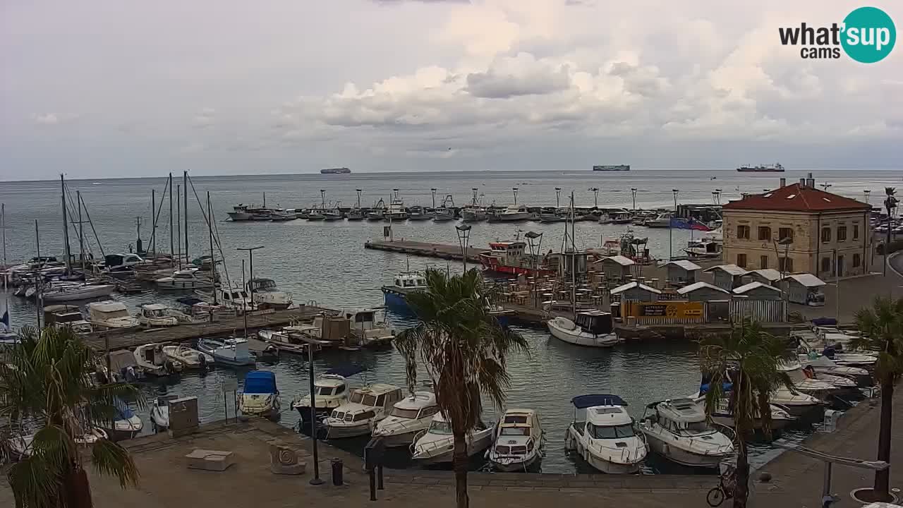 Web kamera Koper – marina i promenada – hotel Grand Koper