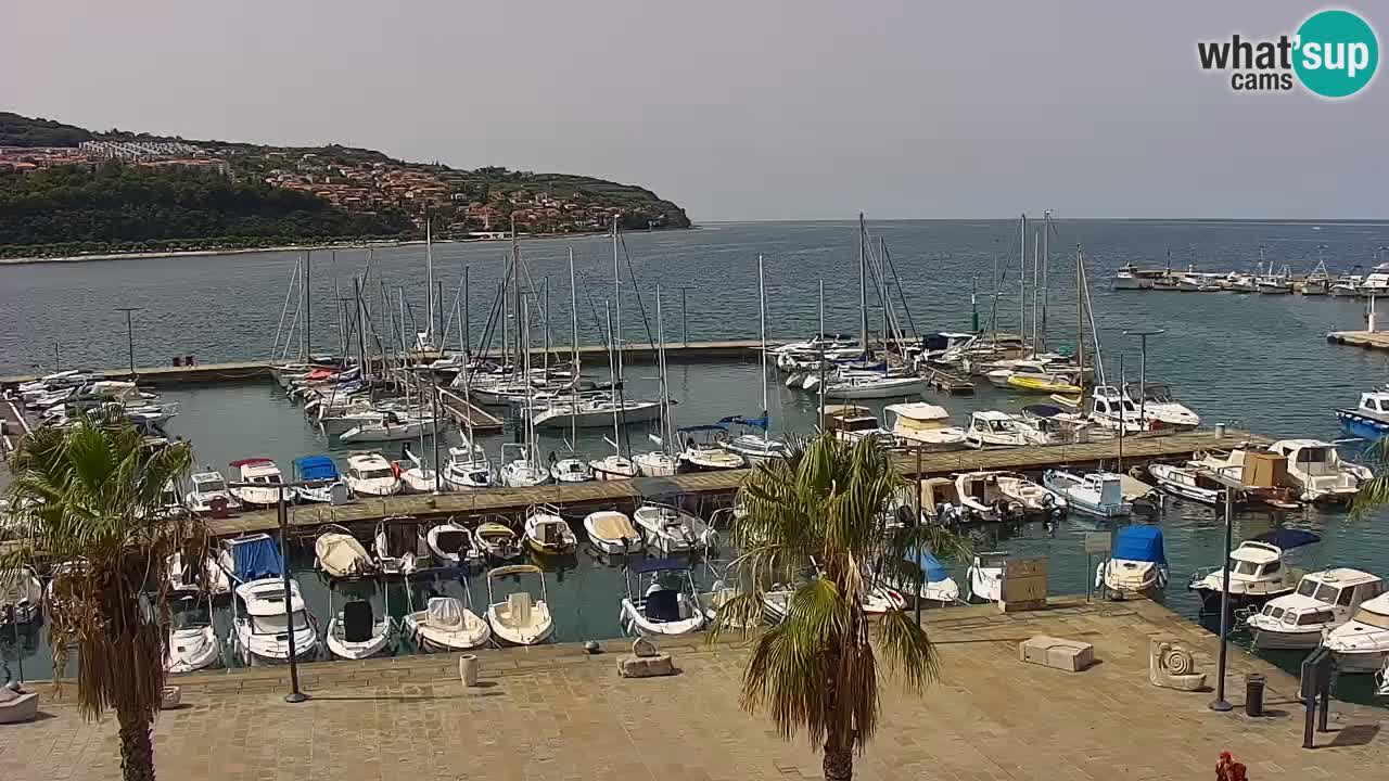 Webcam Koper – Panorama des Jachthafens und der Promenade vom Hotel Grand Koper