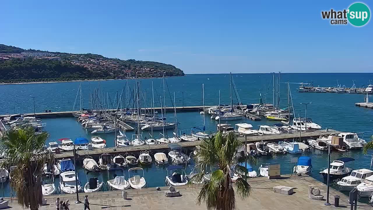 Webcam Koper – Panorama des Jachthafens und der Promenade vom Hotel Grand Koper