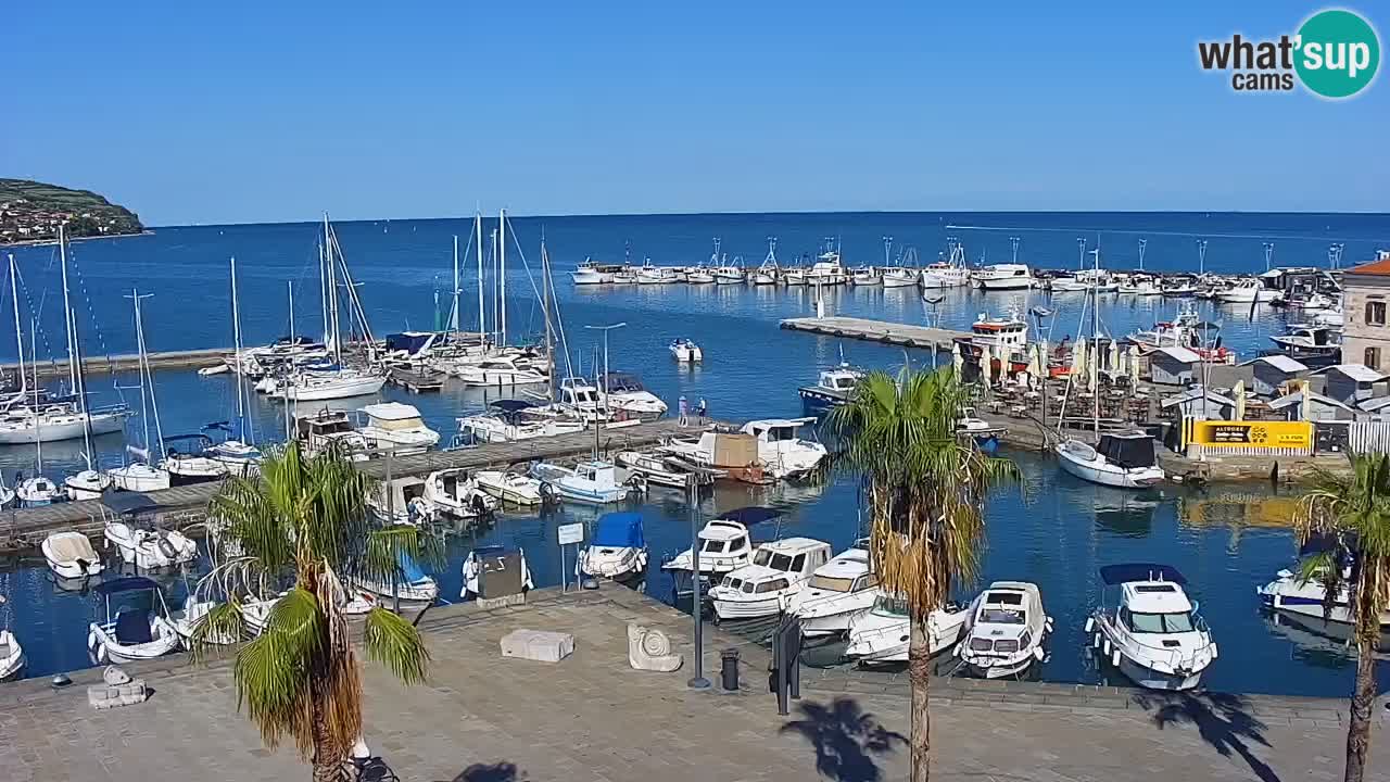 Webcam Koper – Panorama des Jachthafens und der Promenade vom Hotel Grand Koper