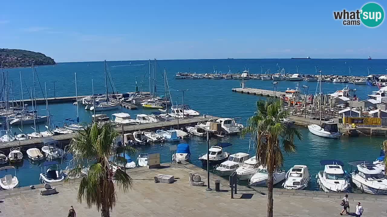 Webcam Koper – Panorama of the marina and promenade from the Grand Hotel Koper