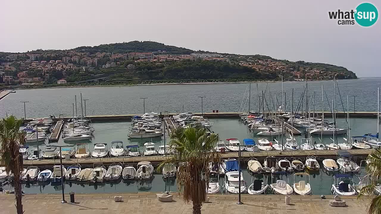 Webcam Koper – Panorama des Jachthafens und der Promenade vom Hotel Grand Koper