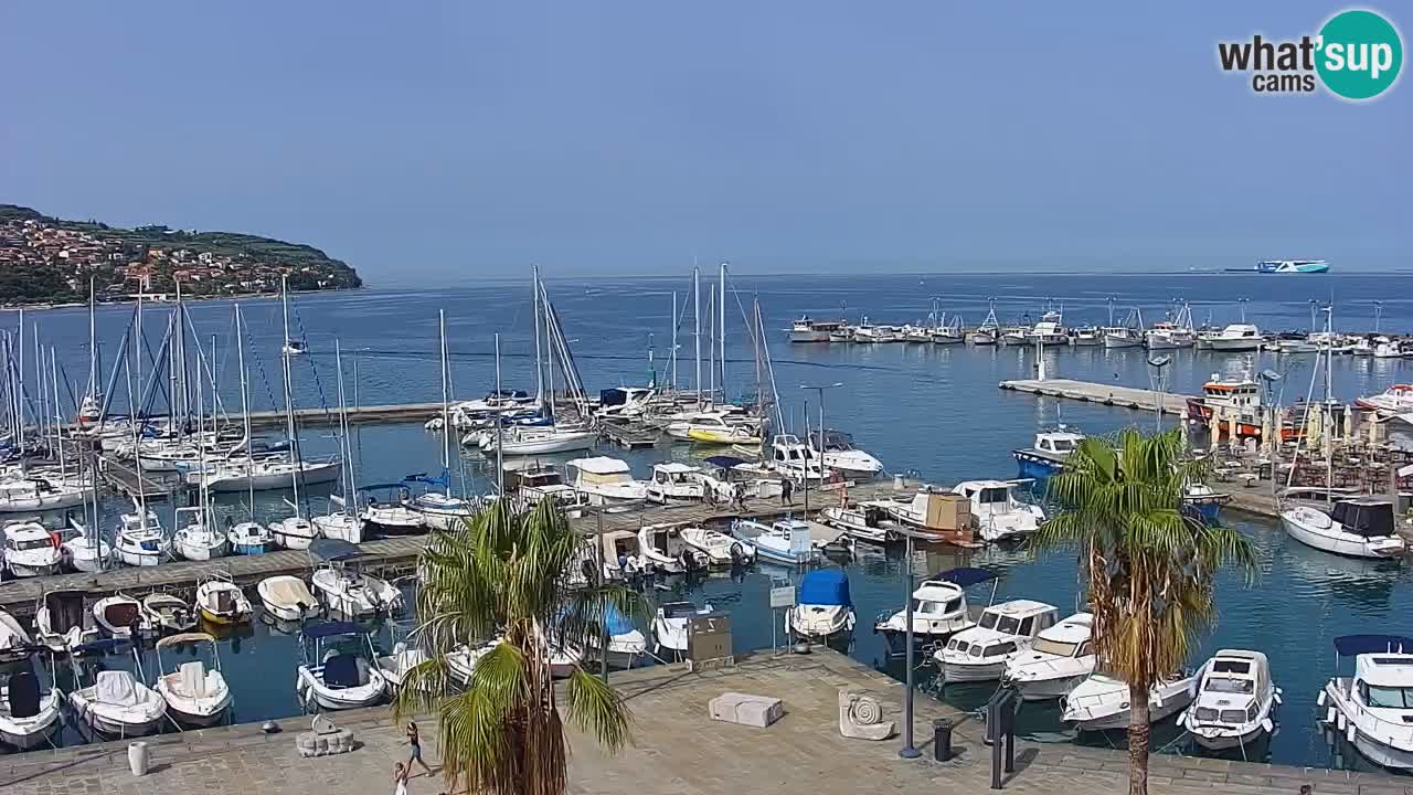 Webcam Koper – Panorama de la marina et de la promenade depuis le Grand Hotel Koper