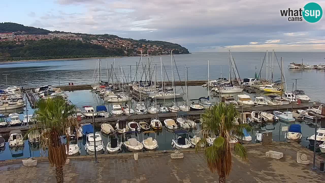 Webcam Koper – Panorama des Jachthafens und der Promenade vom Hotel Grand Koper