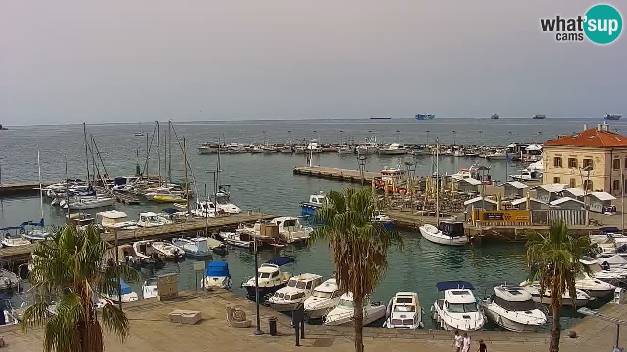 Webcam Koper – Panorama des Jachthafens und der Promenade vom Hotel Grand Koper