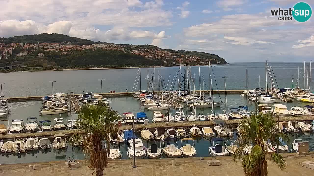 Webcam Koper – Panorama de la marina et de la promenade depuis le Grand Hotel Koper