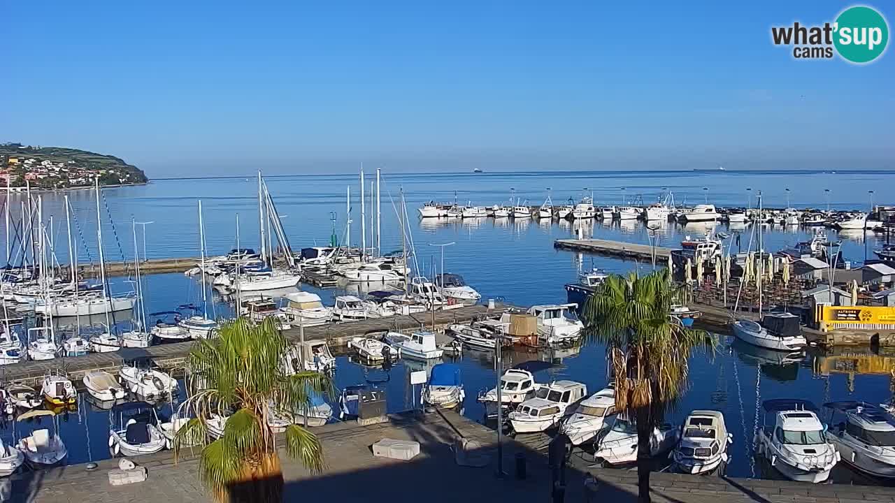 Webcam Koper – Panorama des Jachthafens und der Promenade vom Hotel Grand Koper