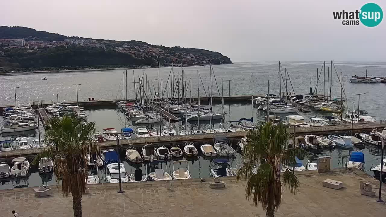 Spletna kamera Koper – Panorama na marino in promenado s Hotela Grand Koper