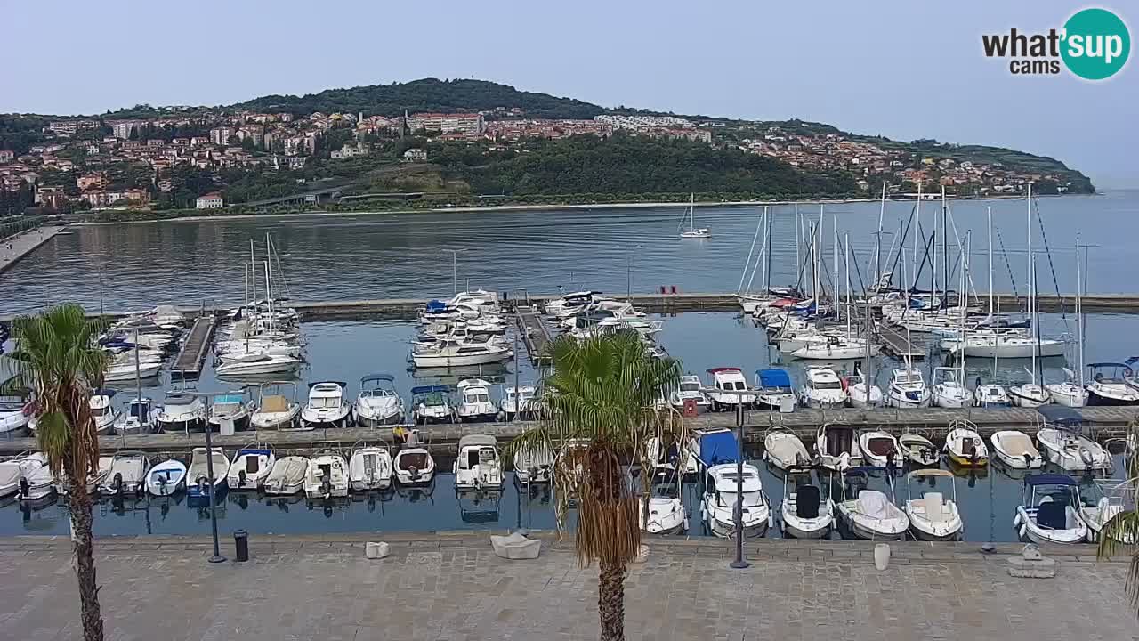 Spletna kamera Koper – Panorama na marino in promenado s Hotela Grand Koper