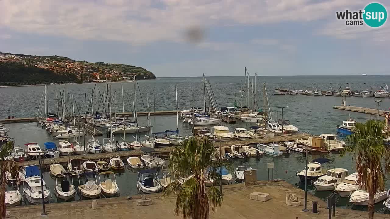 Spletna kamera Koper – Panorama na marino in promenado s Hotela Grand Koper