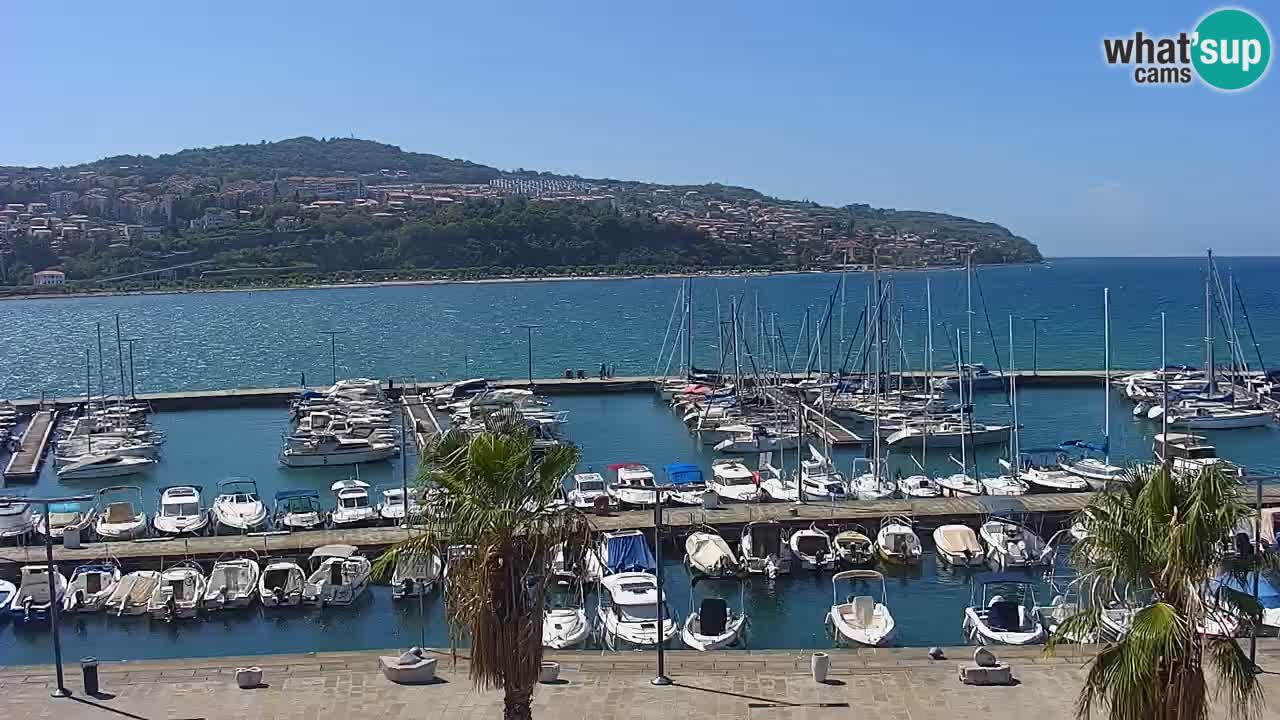 Camera en vivo Koper – puerto deportivo y paseo marítimo desde el Hotel Grand Koper