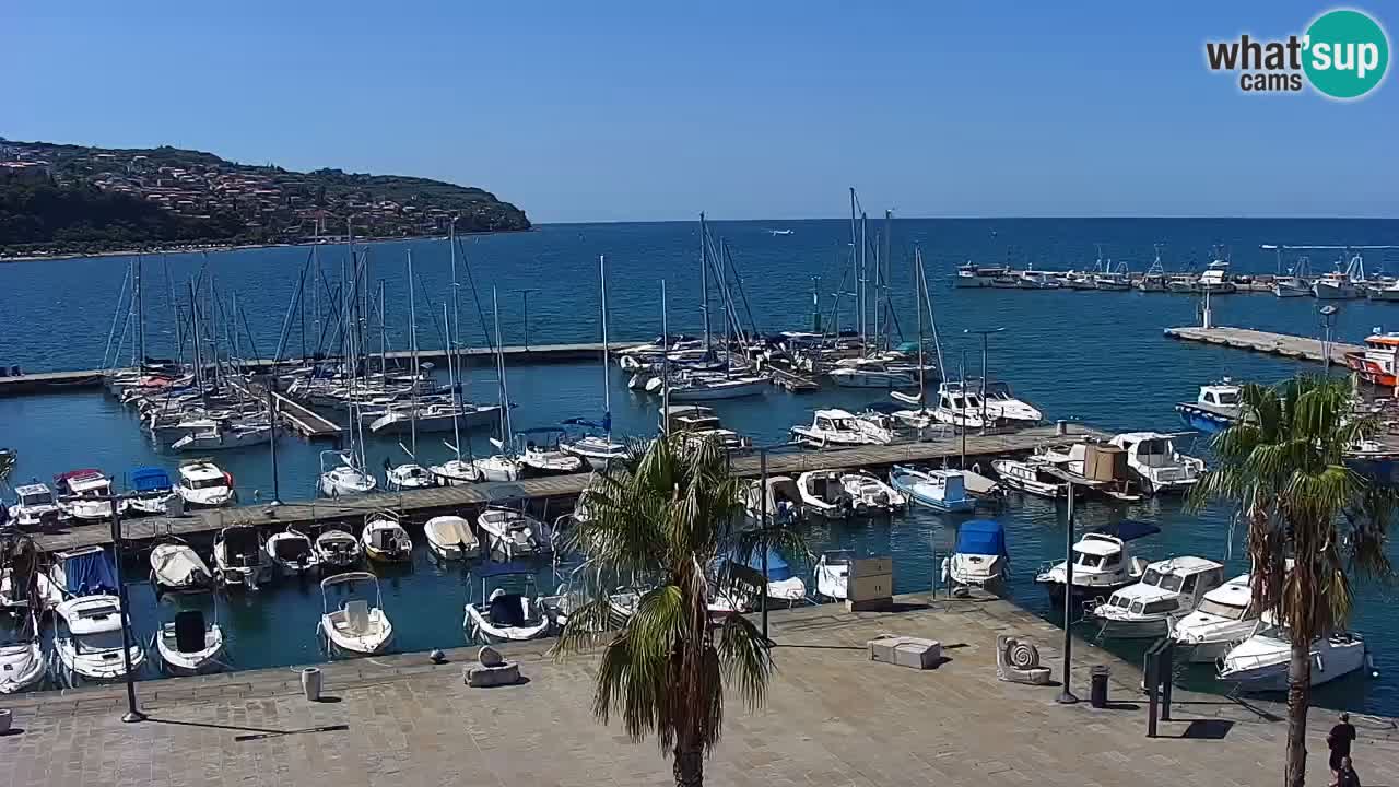 Webcam Capodistria – marina e lungo mare dall’Hotel Grand Koper
