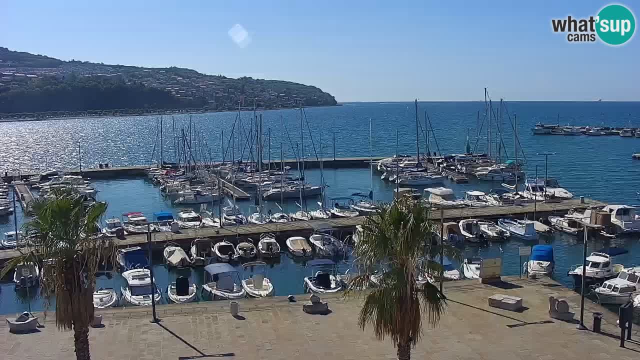 Spletna kamera Koper – Panorama na marino in promenado s Hotela Grand Koper