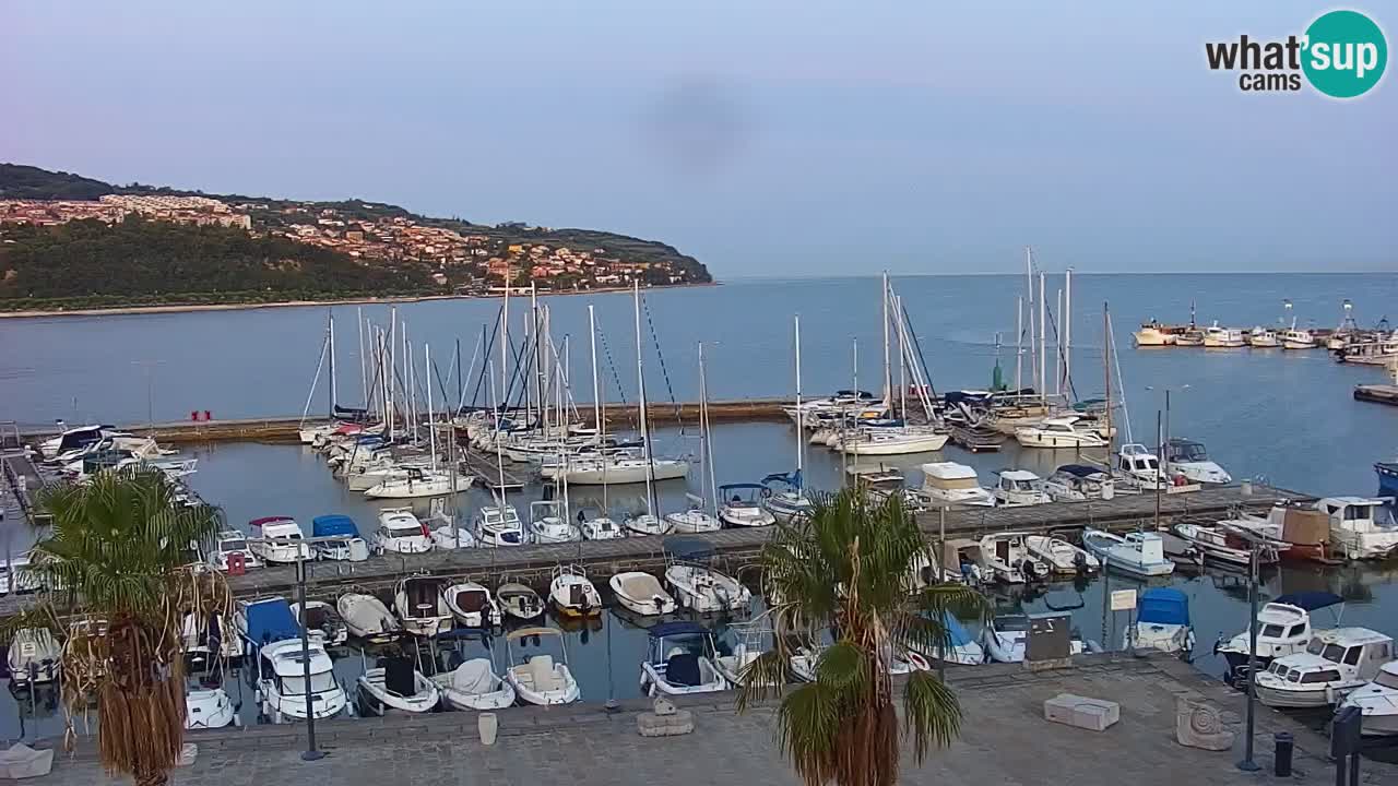 Spletna kamera Koper – Panorama na marino in promenado s Hotela Grand Koper