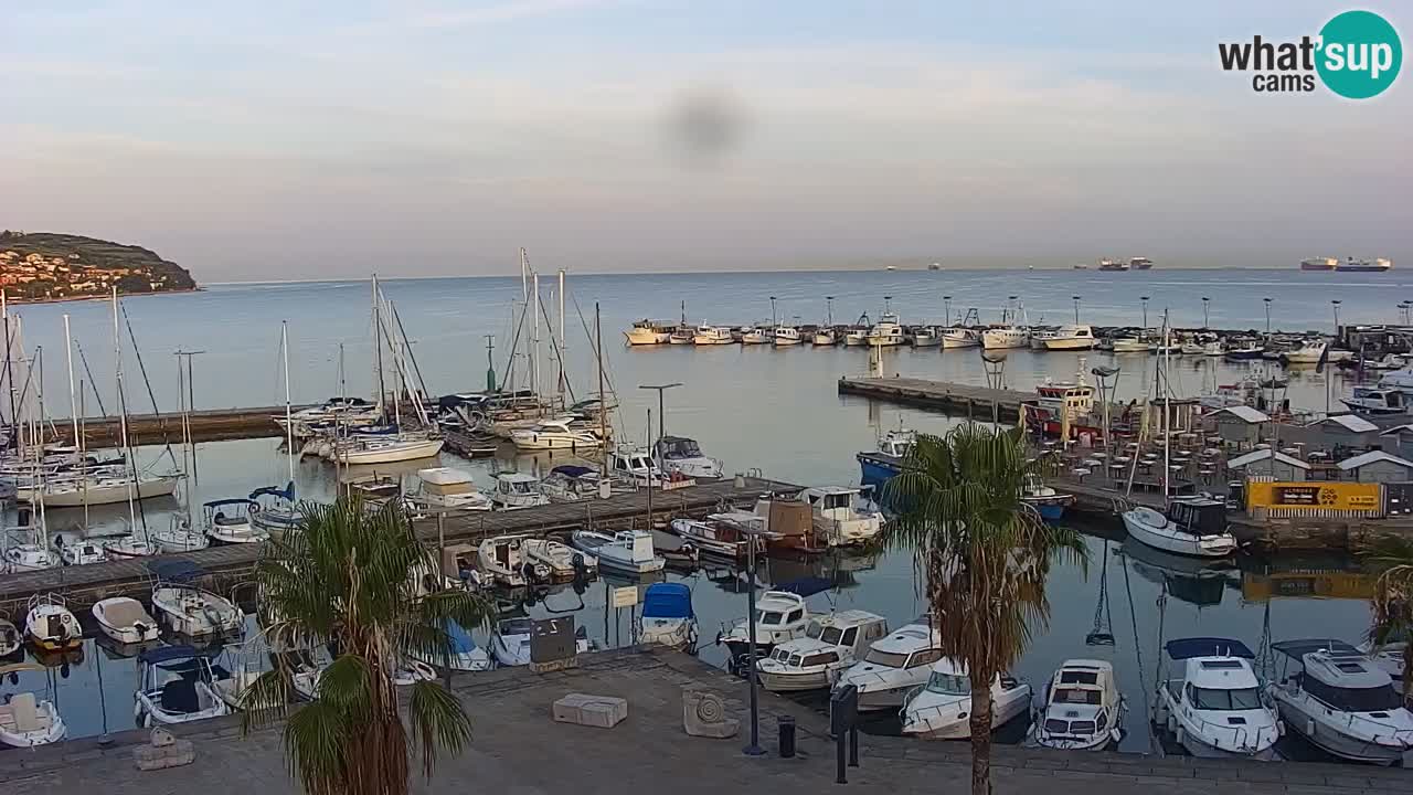 Spletna kamera Koper – Panorama na marino in promenado s Hotela Grand Koper
