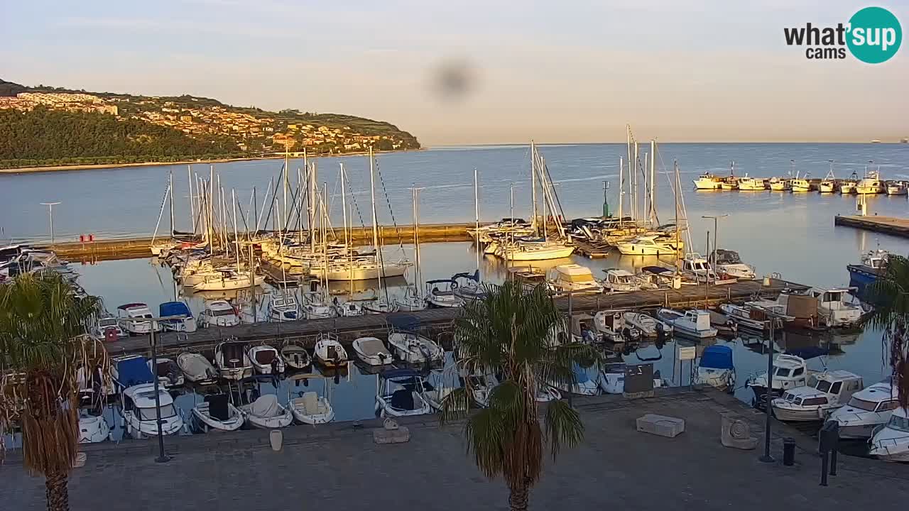 Webcam Koper – Panorama of the marina and promenade from the Grand Hotel Koper