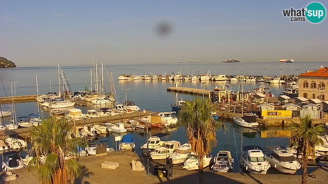 Web kamera Koper – marina i promenada – hotel Grand Koper
