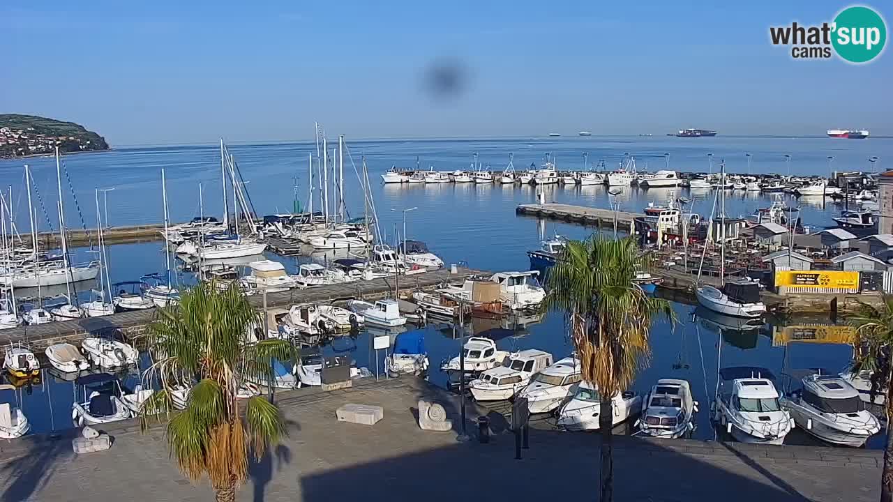 Spletna kamera Koper – Panorama na marino in promenado s Hotela Grand Koper