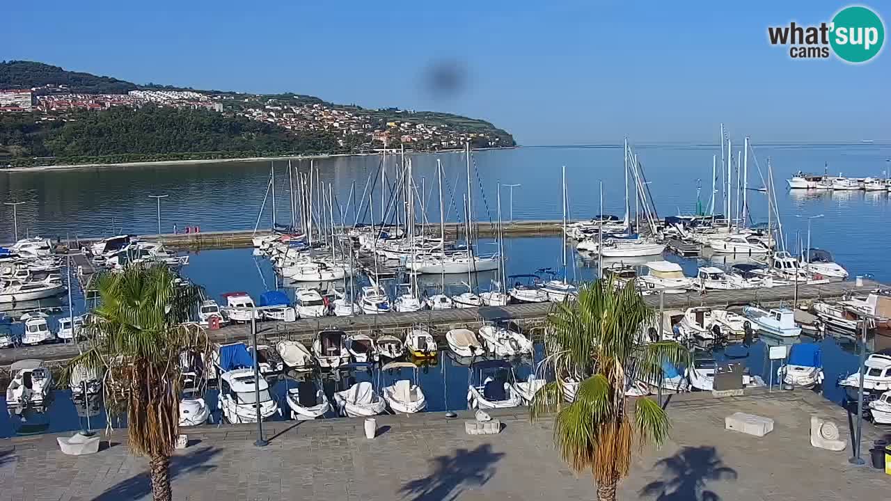 Web kamera Koper – marina i promenada – hotel Grand Koper