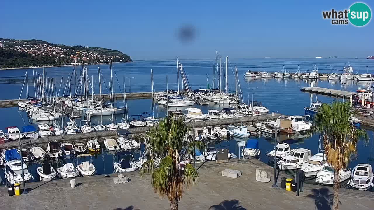 Web kamera Koper – marina i promenada – hotel Grand Koper