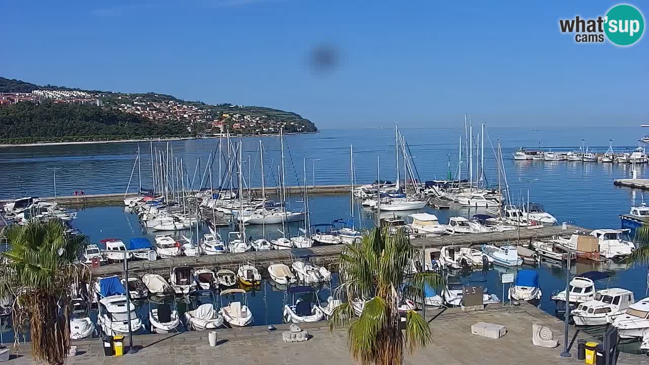 Web kamera Koper – marina i promenada – hotel Grand Koper