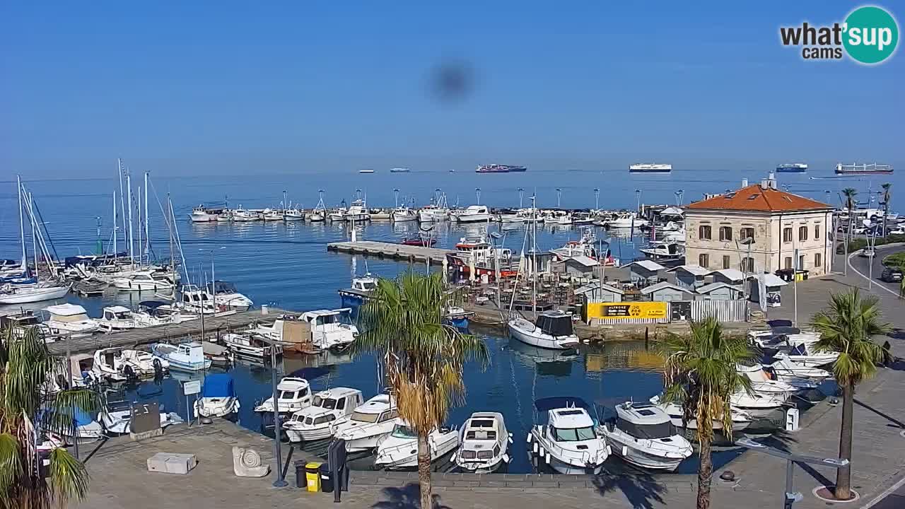 Webcam Koper – Panorama des Jachthafens und der Promenade vom Hotel Grand Koper