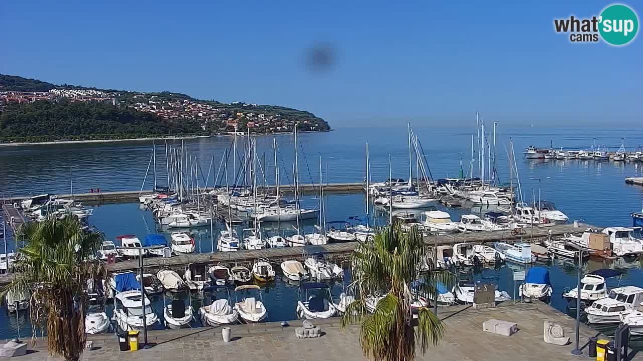 Webcam Koper – Panorama des Jachthafens und der Promenade vom Hotel Grand Koper