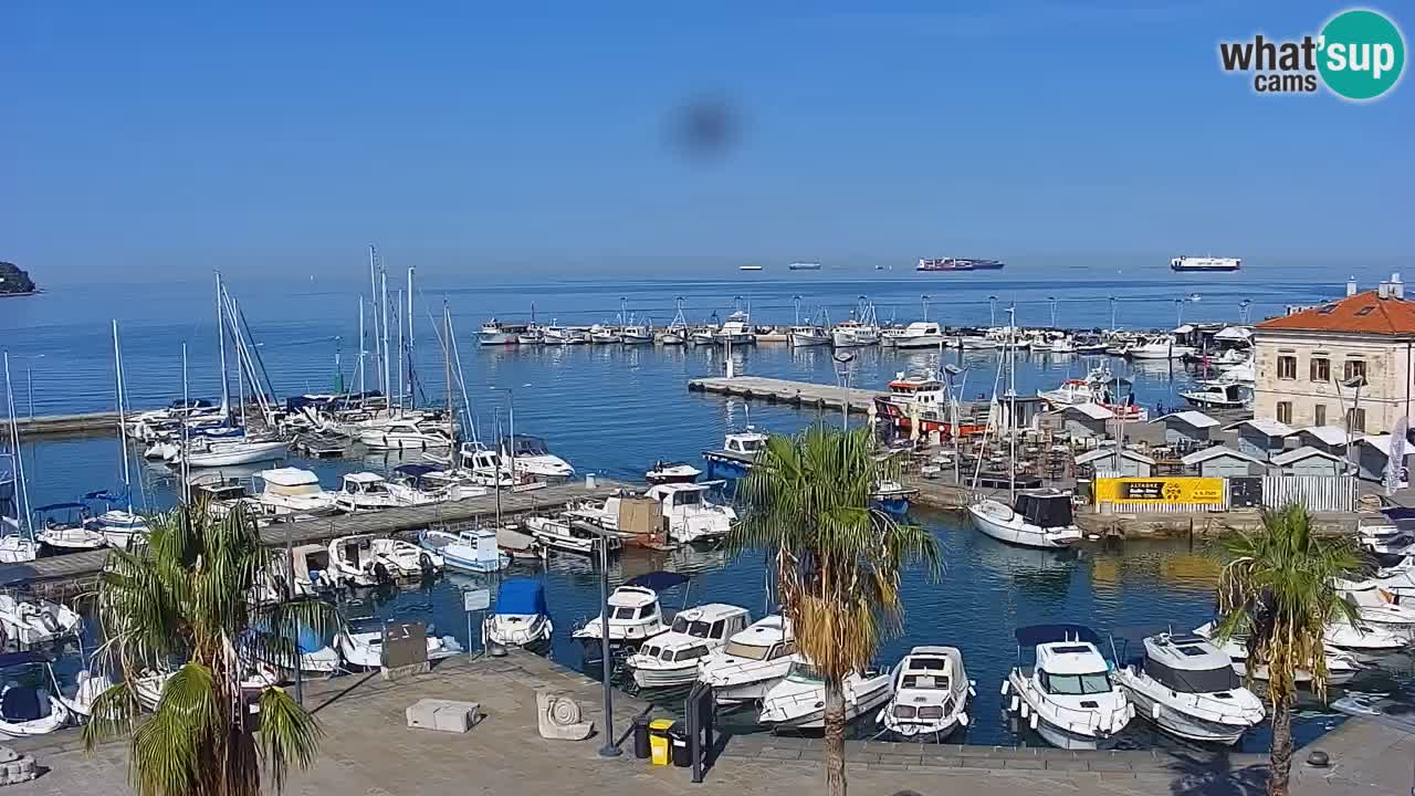 Web kamera Koper – marina i promenada – hotel Grand Koper