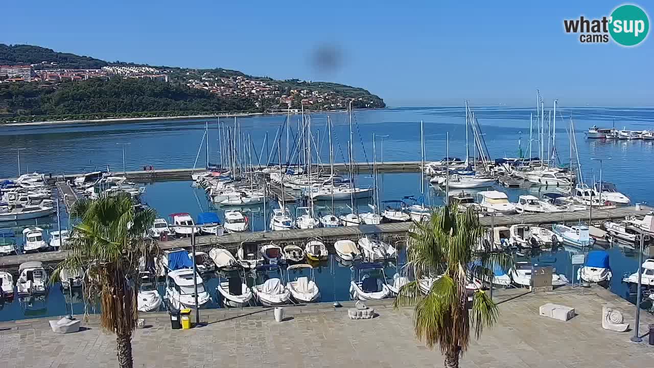 Web kamera Koper – marina i promenada – hotel Grand Koper