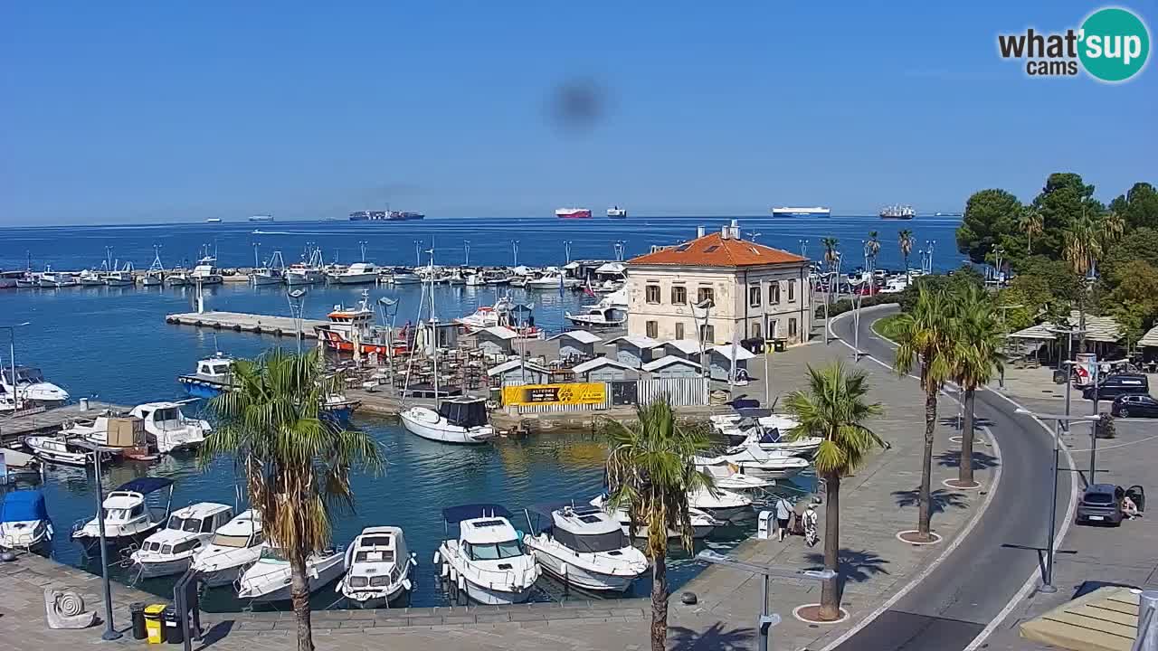 Web kamera Koper – marina i promenada – hotel Grand Koper