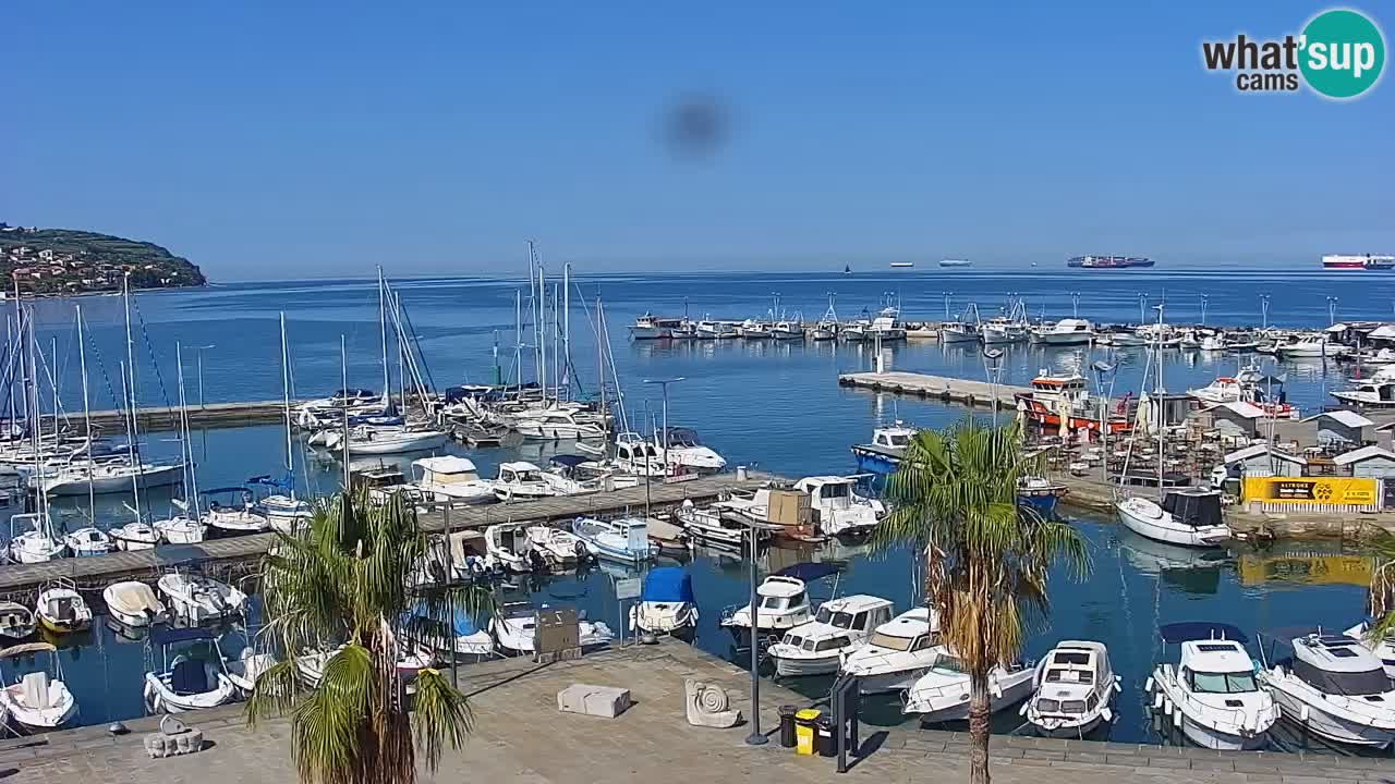 Spletna kamera Koper – Panorama na marino in promenado s Hotela Grand Koper
