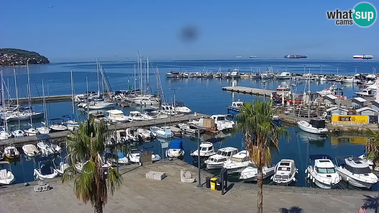 Webcam Capodistria – marina e lungo mare dall’Hotel Grand Koper