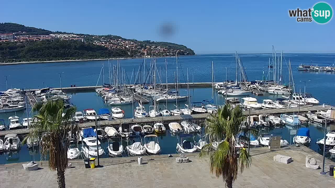 Web kamera Koper – marina i promenada – hotel Grand Koper