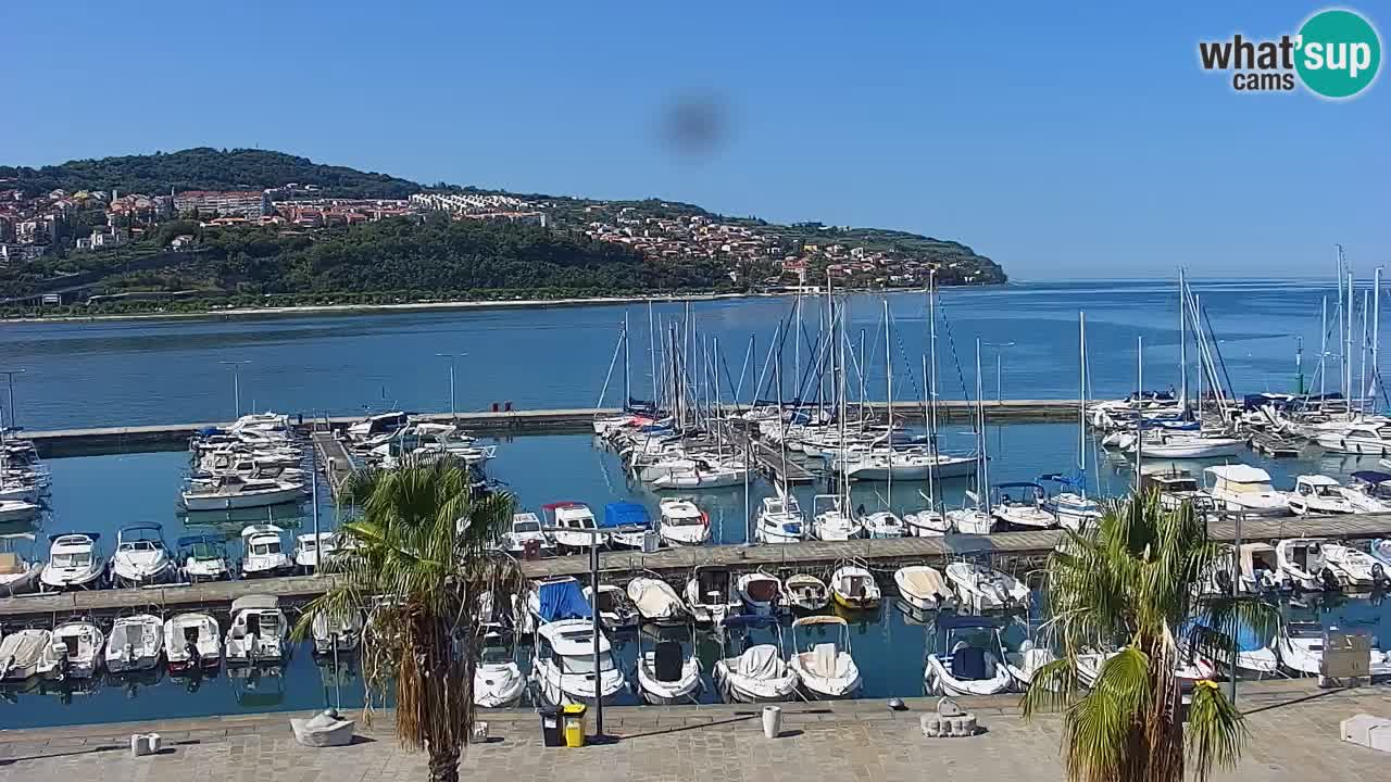 Webcam Koper – Panorama of the marina and promenade from the Grand Hotel Koper