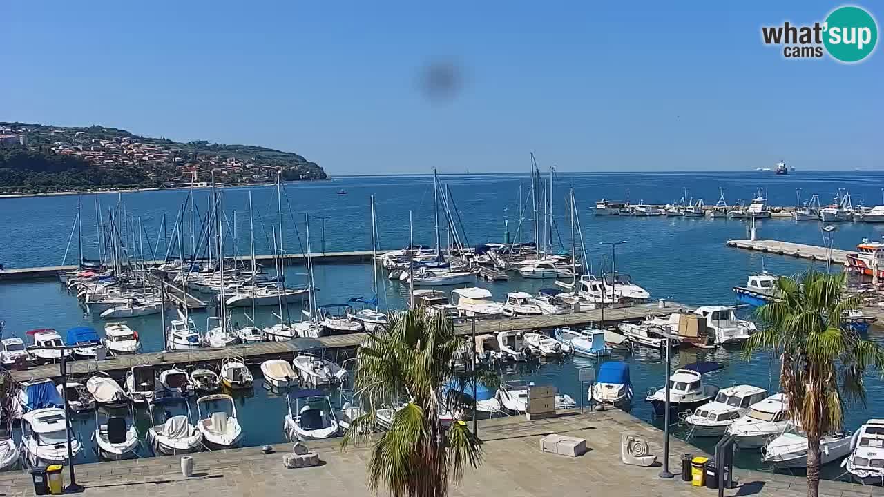 Spletna kamera Koper – Panorama na marino in promenado s Hotela Grand Koper