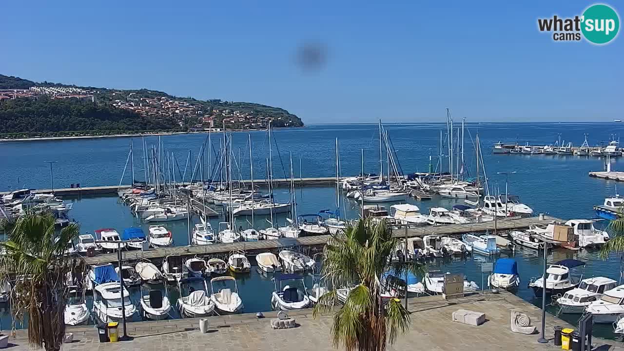 Webcam Koper – Panorama of the marina and promenade from the Grand Hotel Koper